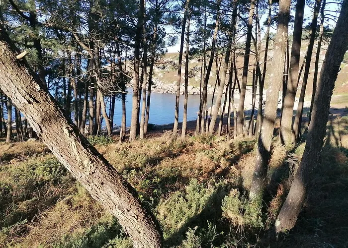 Διαμέρισμα Casa Del Baile - 2 Viviendas *