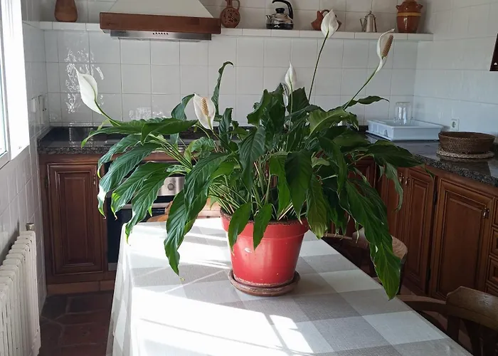 Casa Del Baile - 2 Viviendas * Bueu